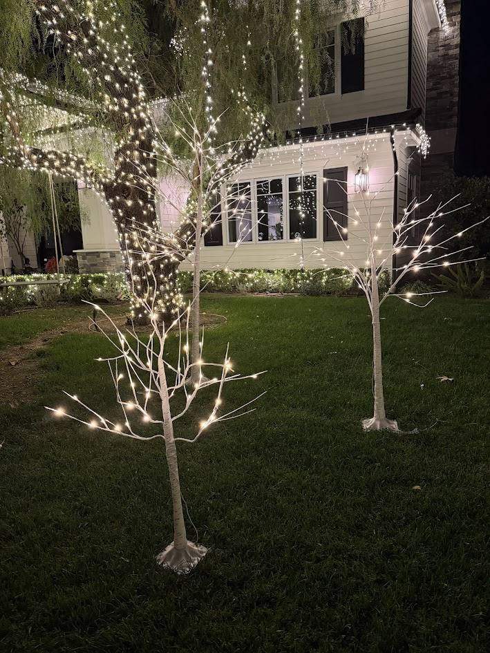 Holiday lighting on trees in Woodland Hills