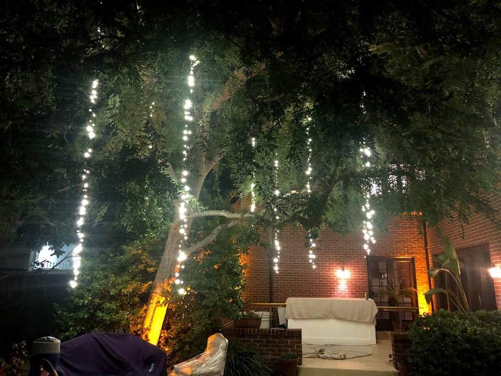 Hanging string lights through trees at an event