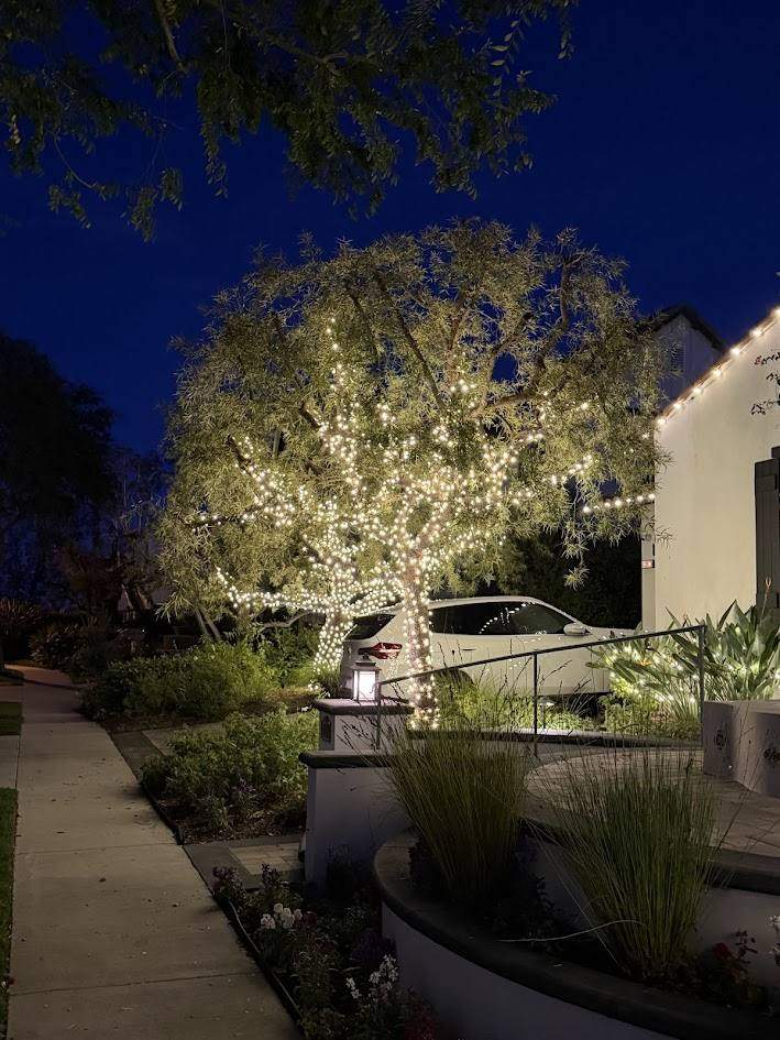 Tree wrapped trunk to canopy in warm white lights